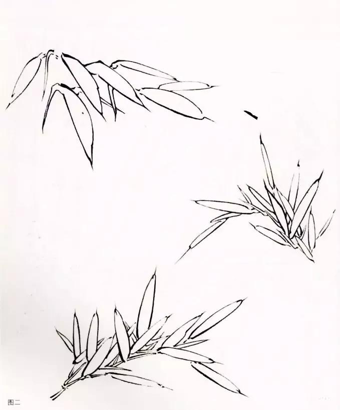 竹子的画法工笔画,竹子画法工笔画