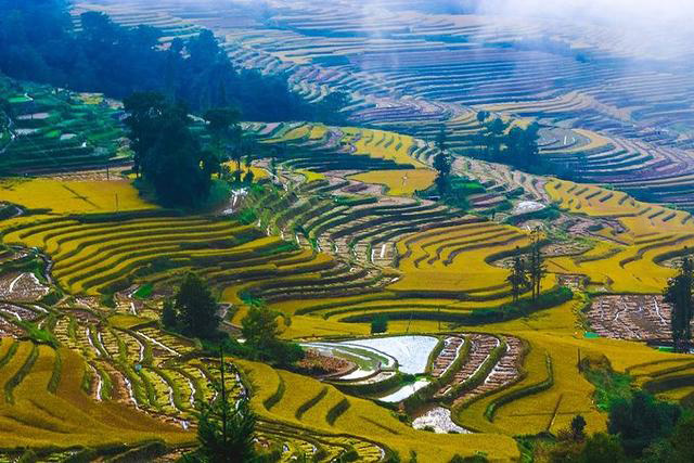 良心推荐|1月高性价比出行,附出行指南和必游景点