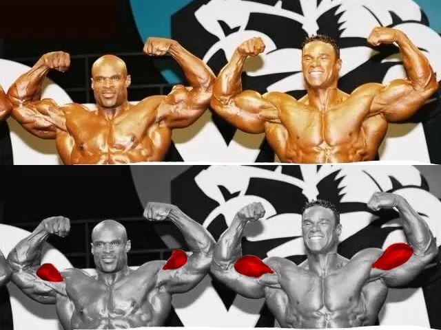 肱二头肌为什么不容易练大,苦练肱二头肌