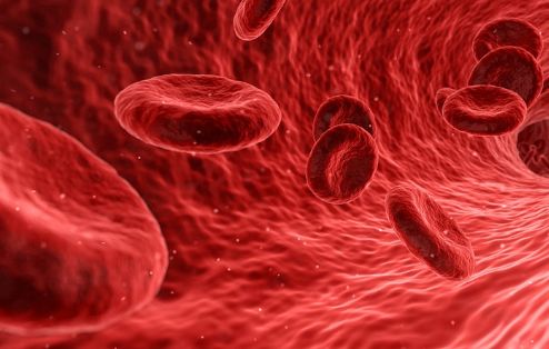 化疗导致骨髓抑制喝中药,化疗骨髓抑制食疗