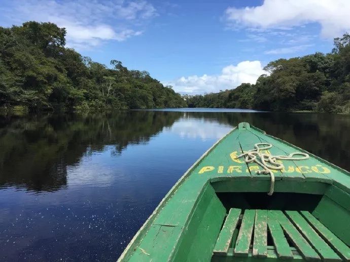 许婧为什么和陈赫离婚,许婧和陈赫为什么离婚
