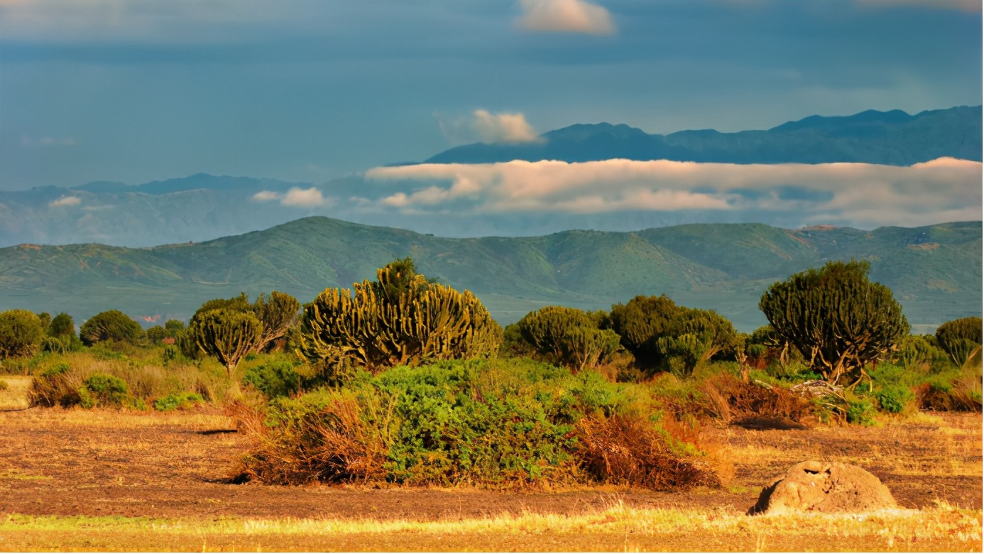 乌干达面积和人口各多少,乌干达人口普查