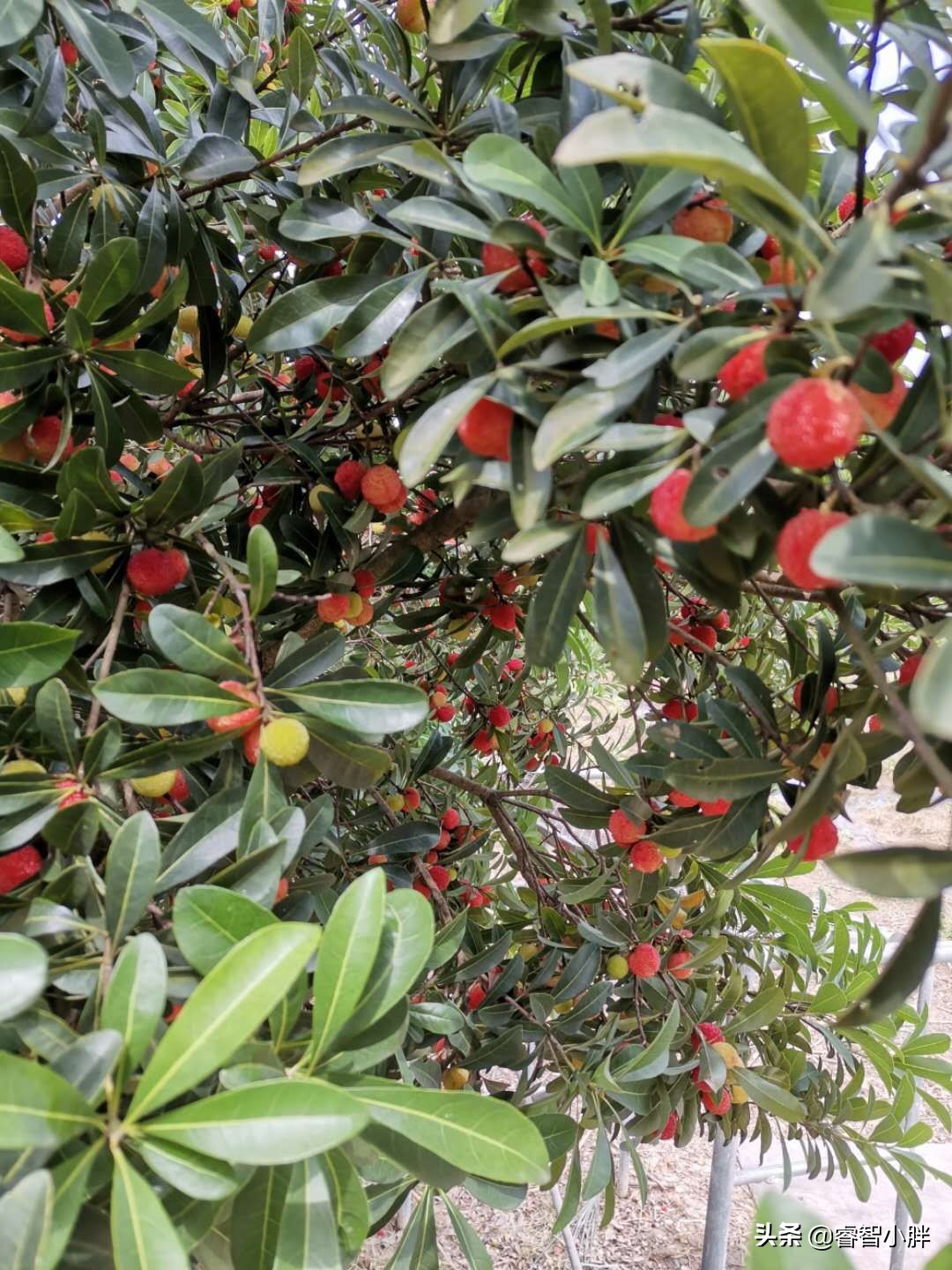 车被小孩刮花了报警怎么处理,车被小孩恶意刮花怎么办