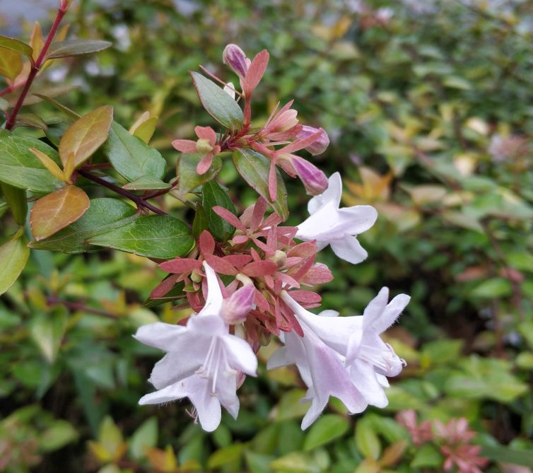 中医与生活相结合,中医和生活的奇妙关系