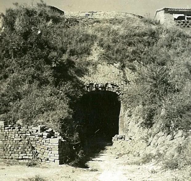 四川104岁老农去世留下奖状,河南老农因一份奖状暴露身份