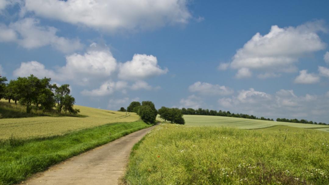 总是反应慢容易走神是怎么回事,总走神注意力不集中多动
