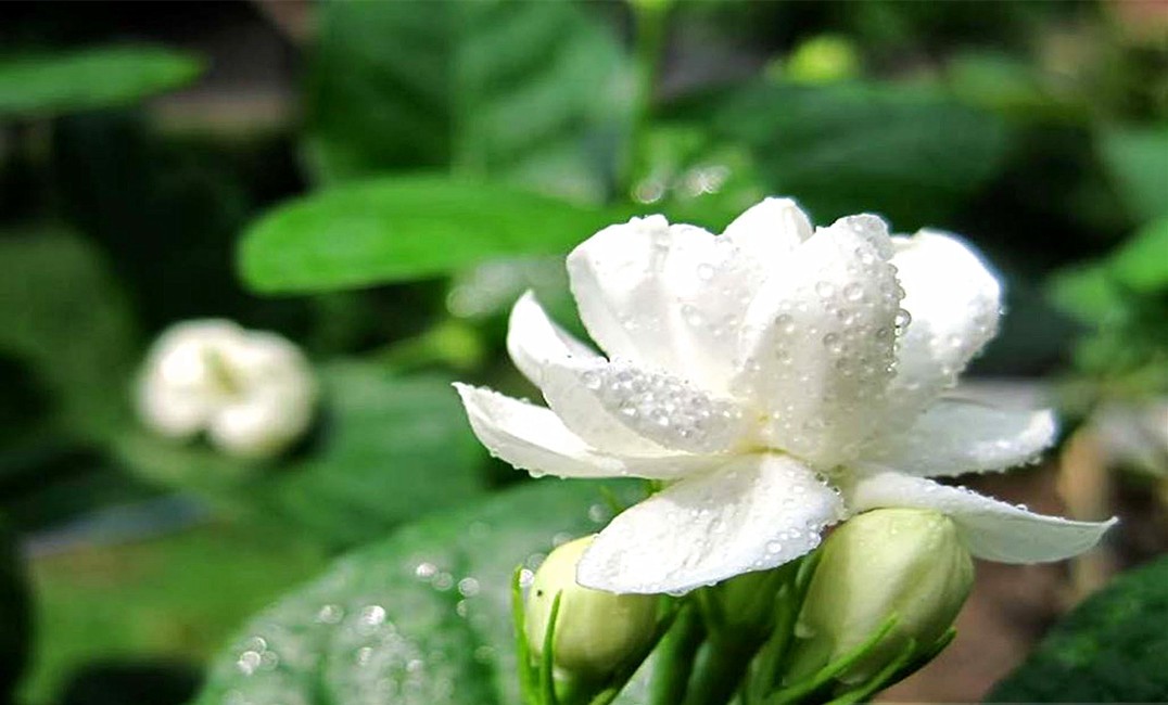 十二星座中谁跟天蝎最合适,十二星座谁最能读懂天蝎