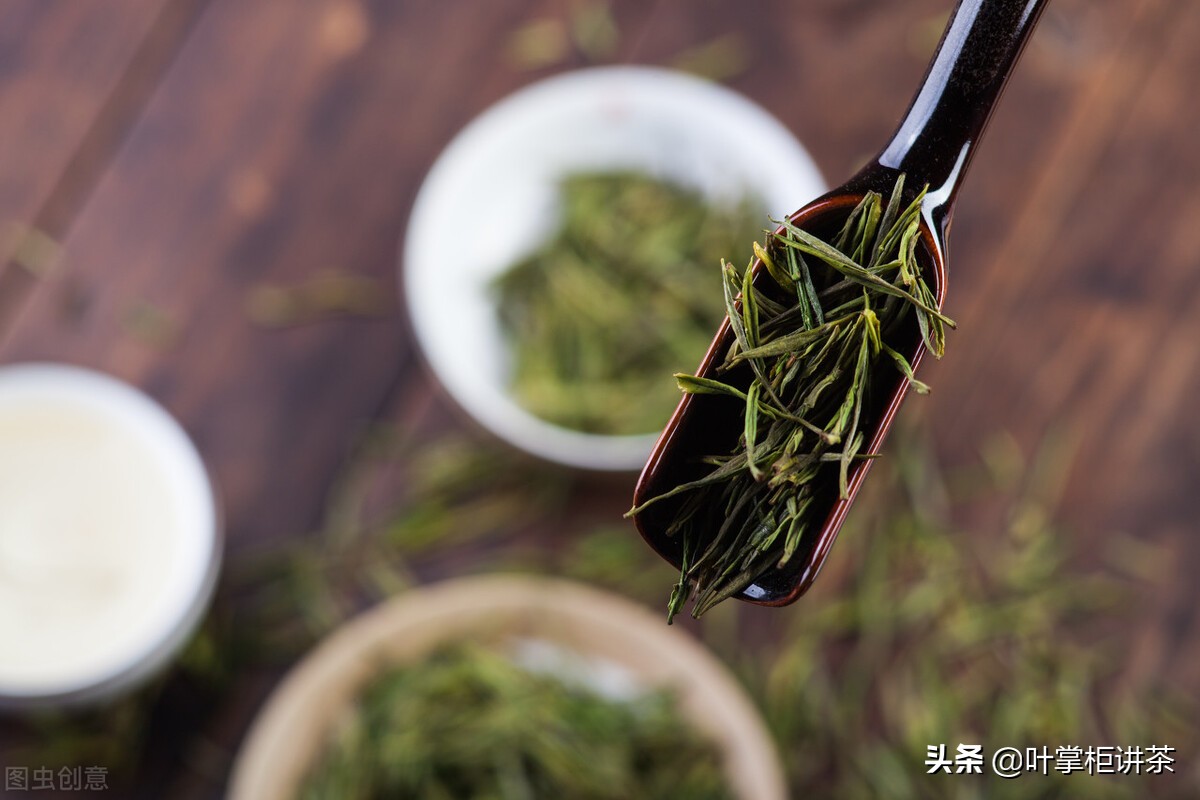 安吉白茶与福鼎白茶有什么区别,安吉白茶是什么茶