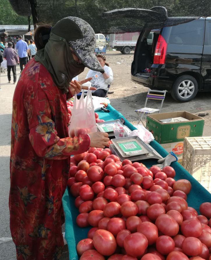漫山花如雪,风吹暗香来