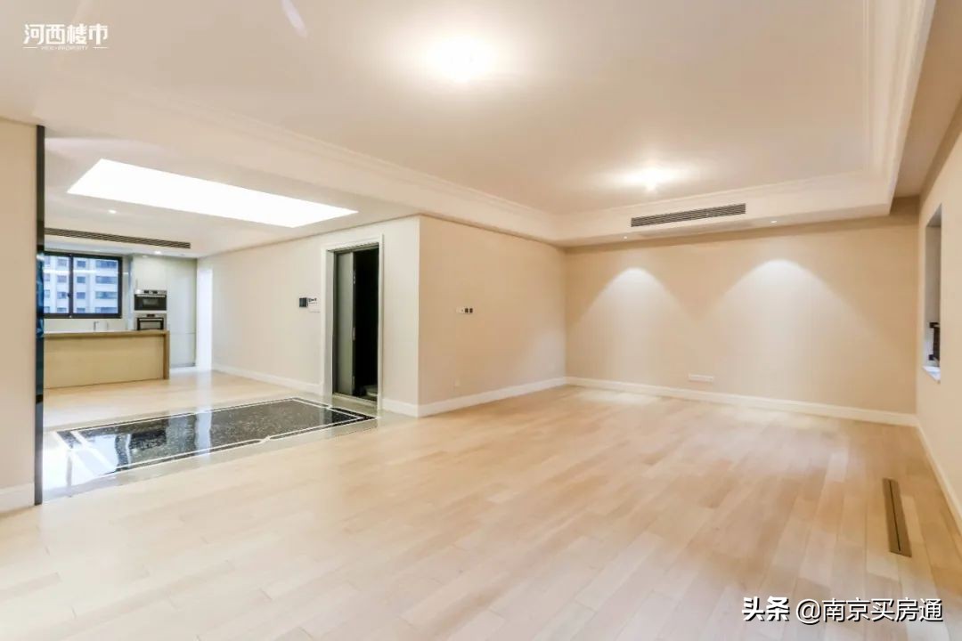 河西中新豪宅全景图,河西中心豪宅内部图片