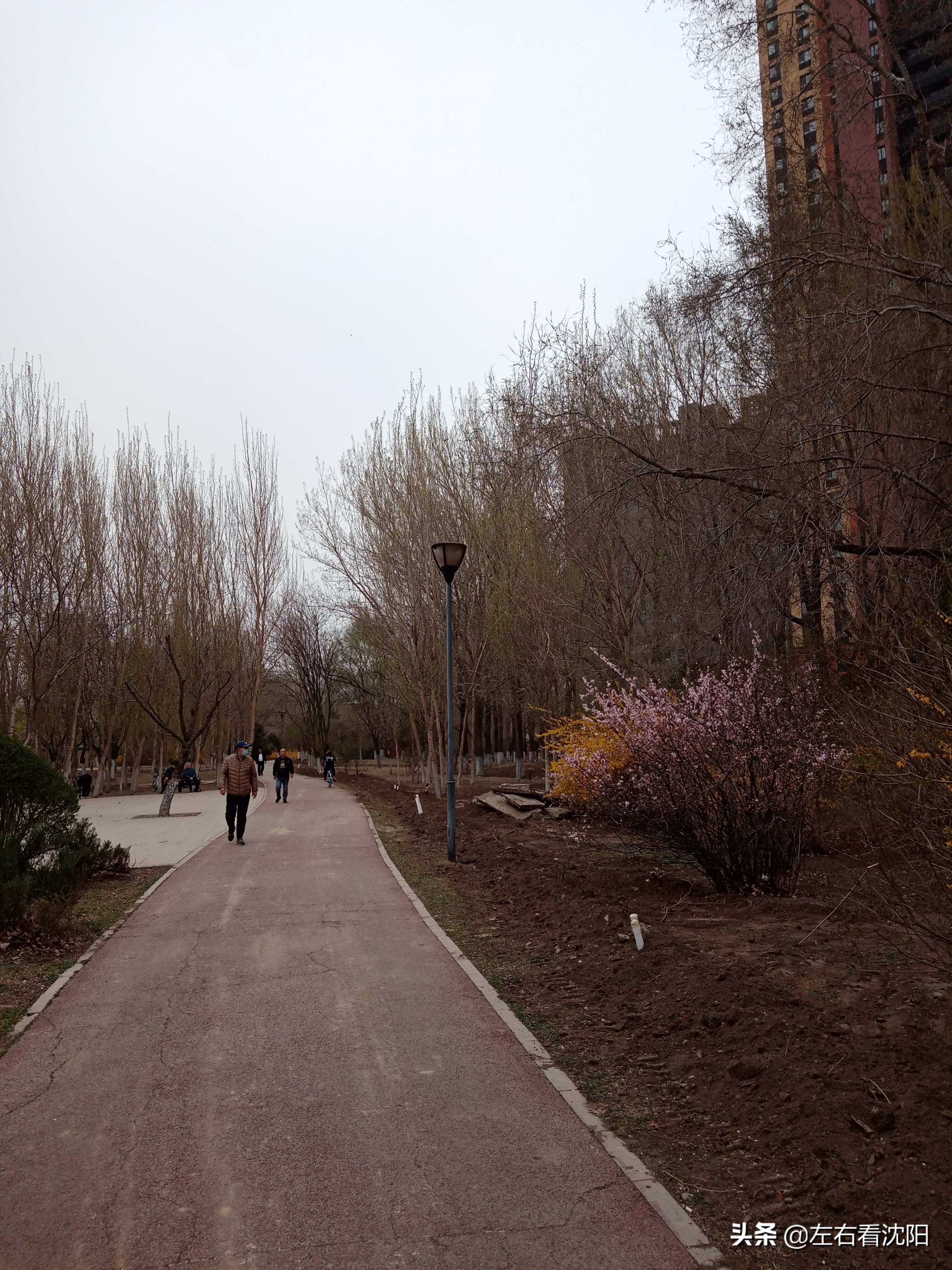 沈阳黎明公园,沈阳大东区黎明公园