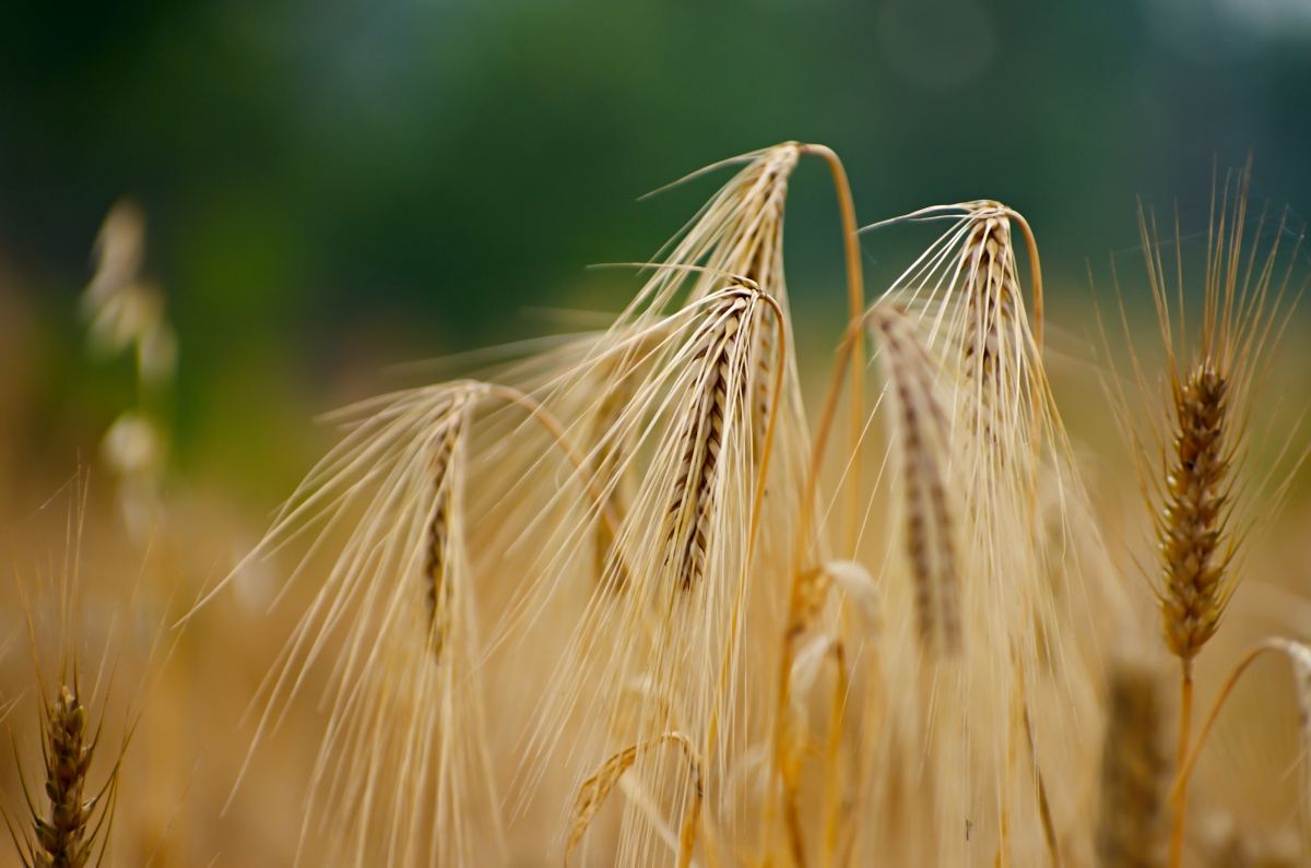 说文解字第0019集,说文解字第143课全集