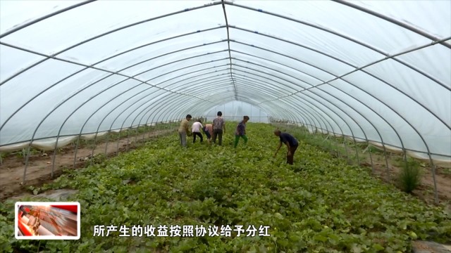 临渭区阎村镇最新消息,渭南临渭区专项整治