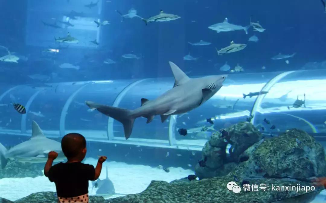 圣淘沙名胜世界完整版,圣淘沙旅游攻略地图大全