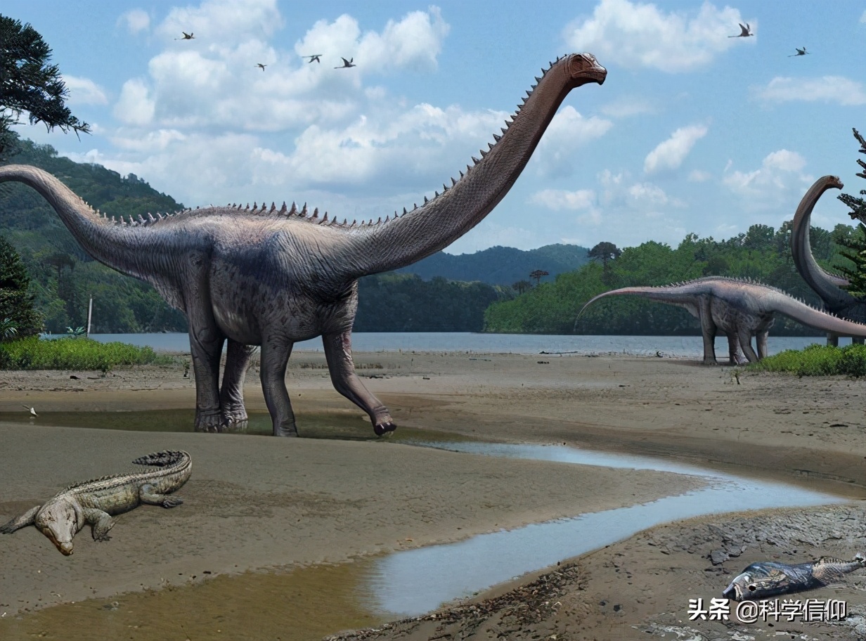 恐龙那么大为什么不是哺乳动物,恐龙为啥这么巨大而人类却这么小