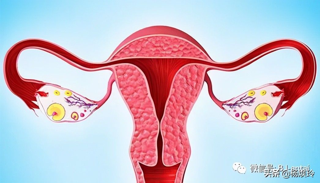 「科普」捍卫子宫，反对阉割，*制抵**新时代下切除子宫的酷刑