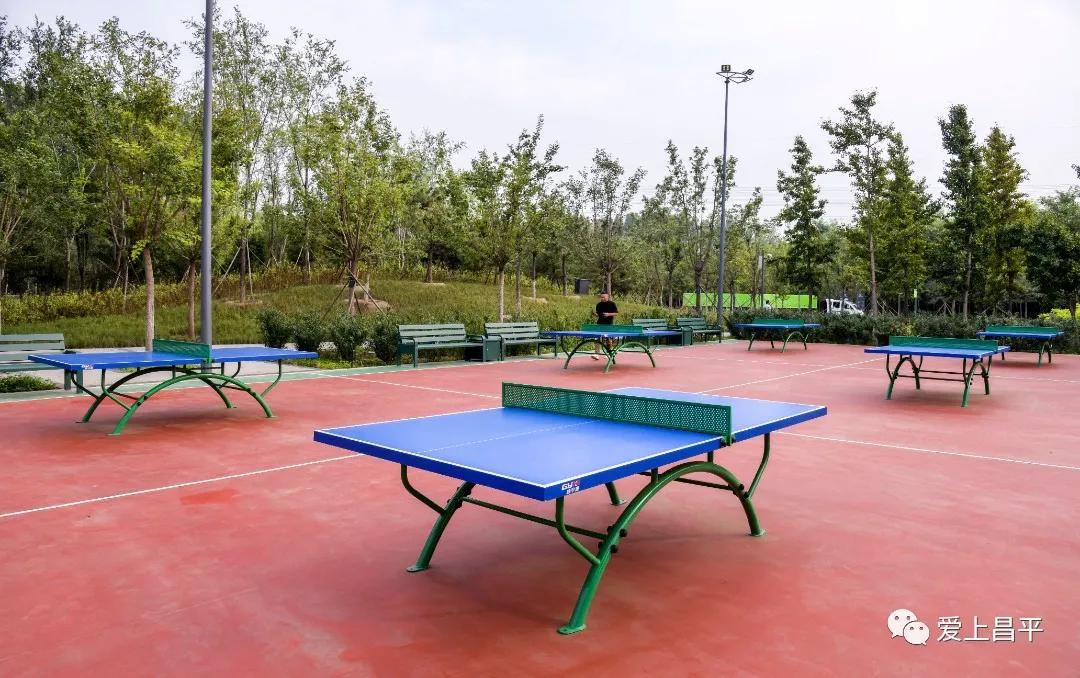 人间最美的旅游地,人间最美四月天去哪里玩