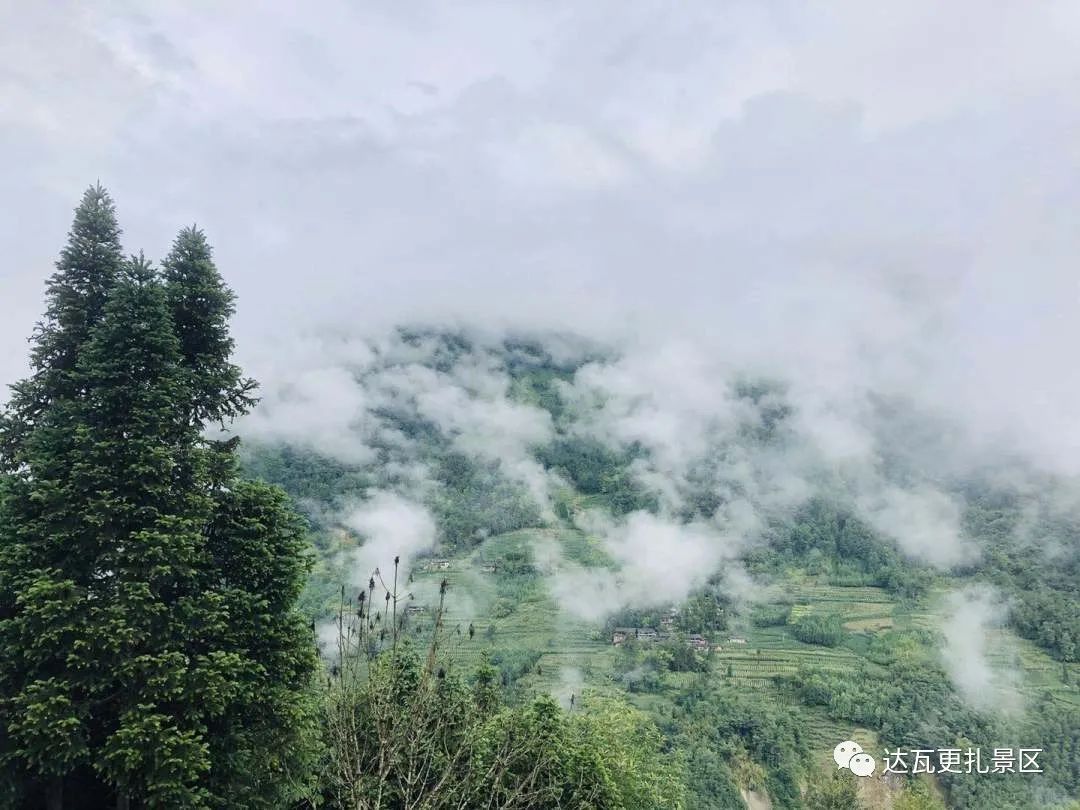 「达瓦更扎、神木垒」桃李花开感谢恩师，老师专属福利速领取