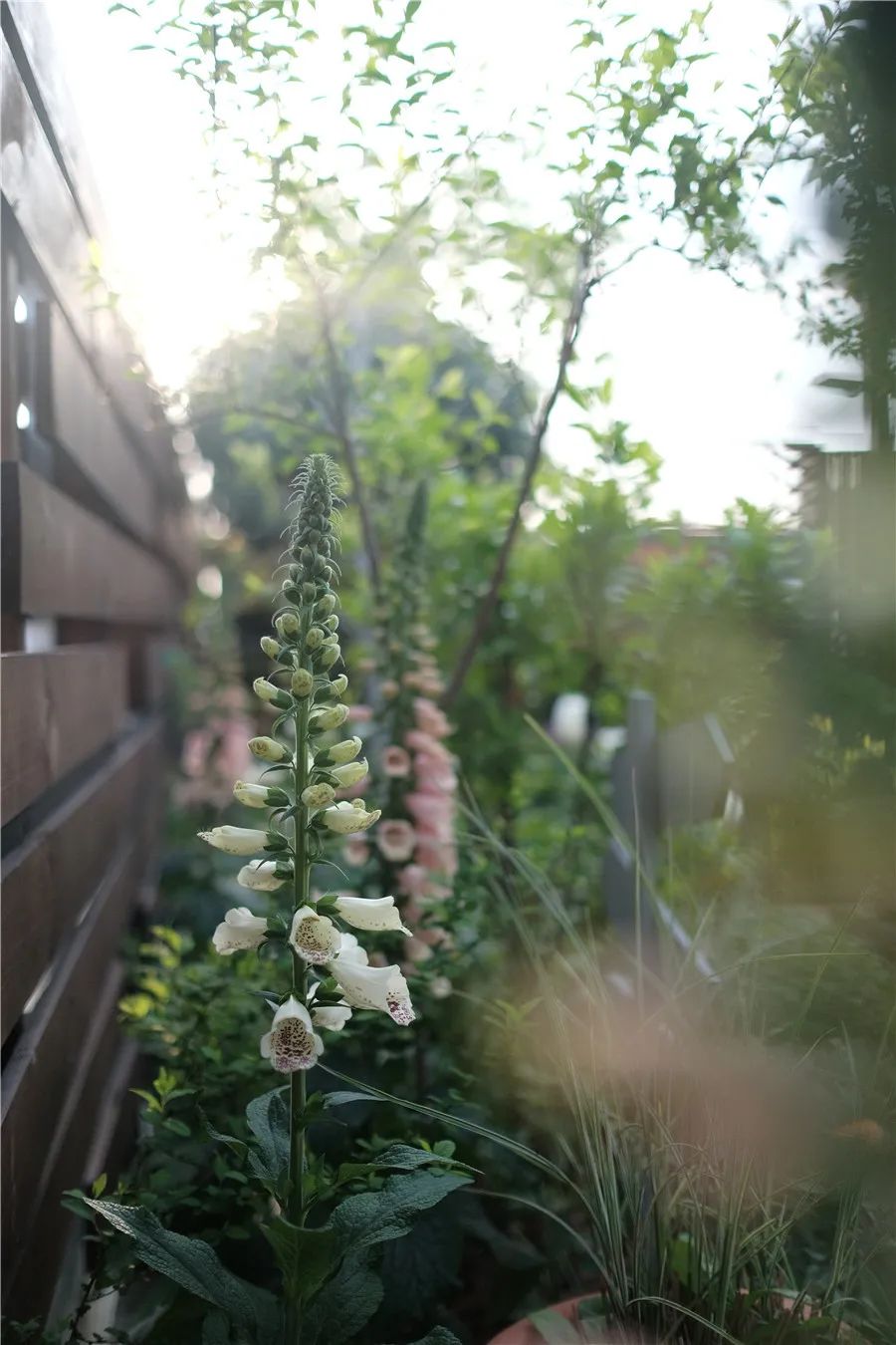 怎样打造露台花园,简单露台花园打造方法