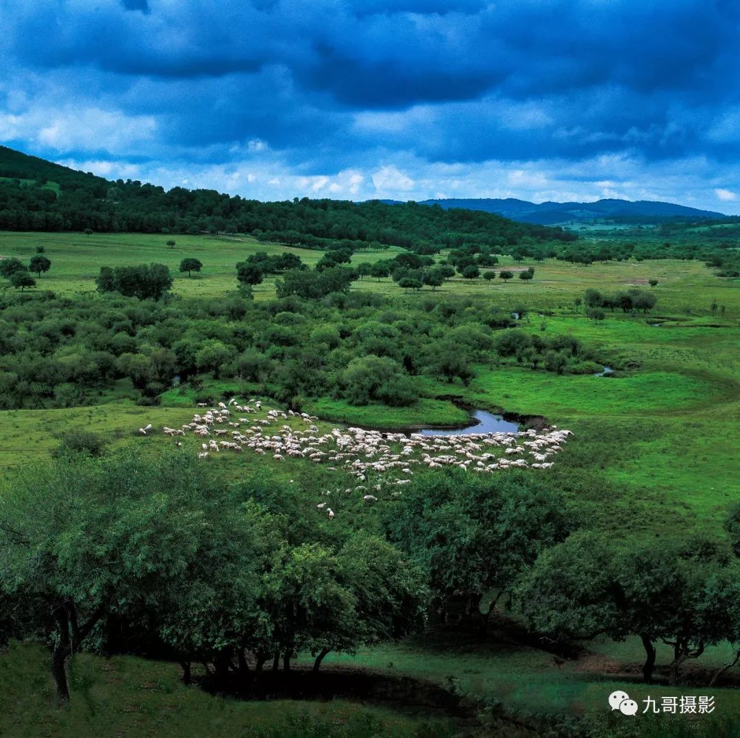 大美坝上草原全景,大美坝上风光系列之一