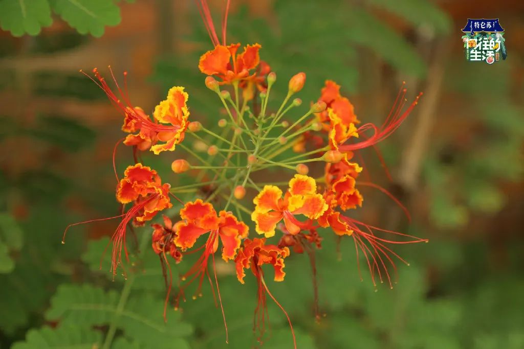 电视剧向往的生活在哪拍的取景地,电视剧向往的生活取景地