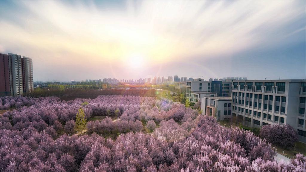 这所学校，背靠“三桶油”，综合实力突出，就业无忧