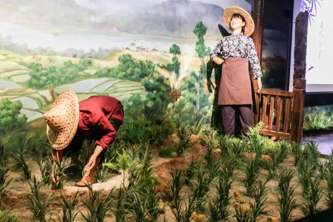 巴南又能耍又有吃的,重庆有什么美食巴南区