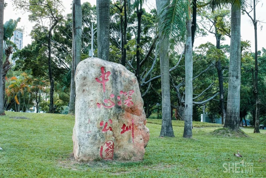 疫情期间免费开放的公园,疫情期间开放的公园有哪些