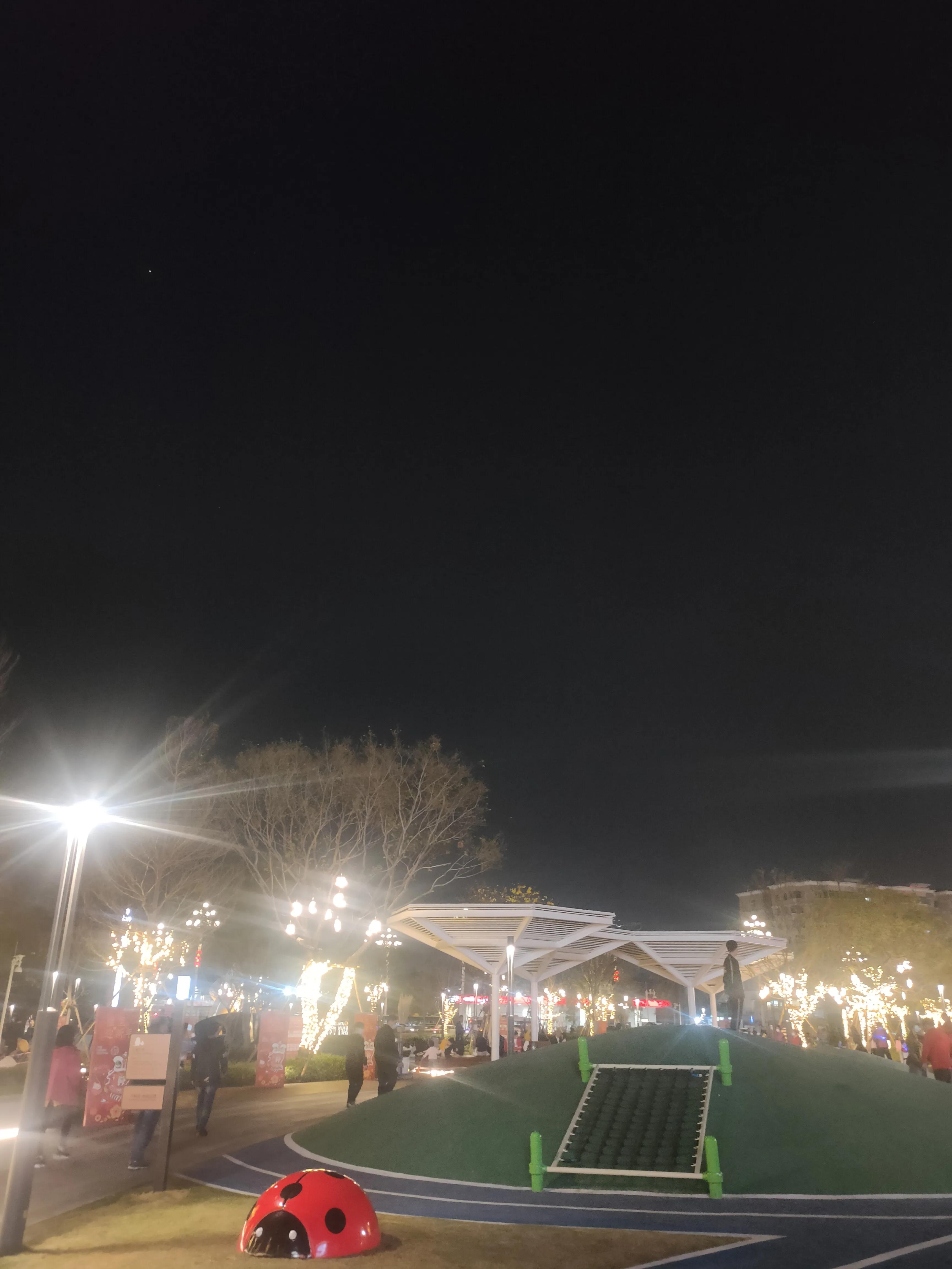 偌大的城市我的栖身之处在何处,偌大的城市容不下一个漂泊的灵魂