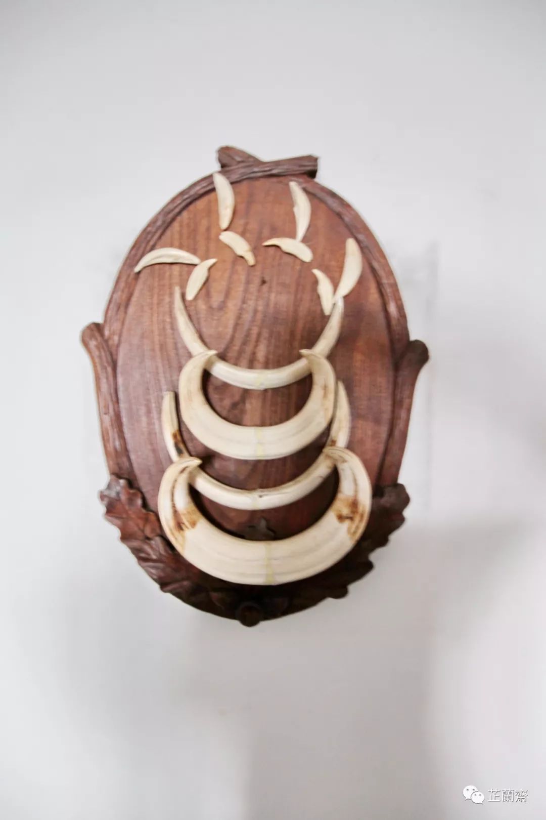 钟叔河念楼：逆境勤学，慧眼逾代（上）韦力撰