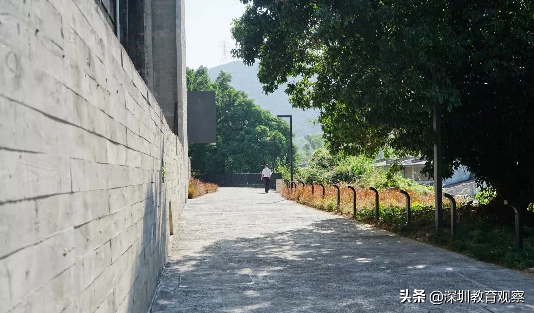 走名校vol.8|三年，明德国际体系走出怎样一条新路？
