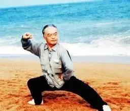 马虹讲拳理,马虹大师讲拳