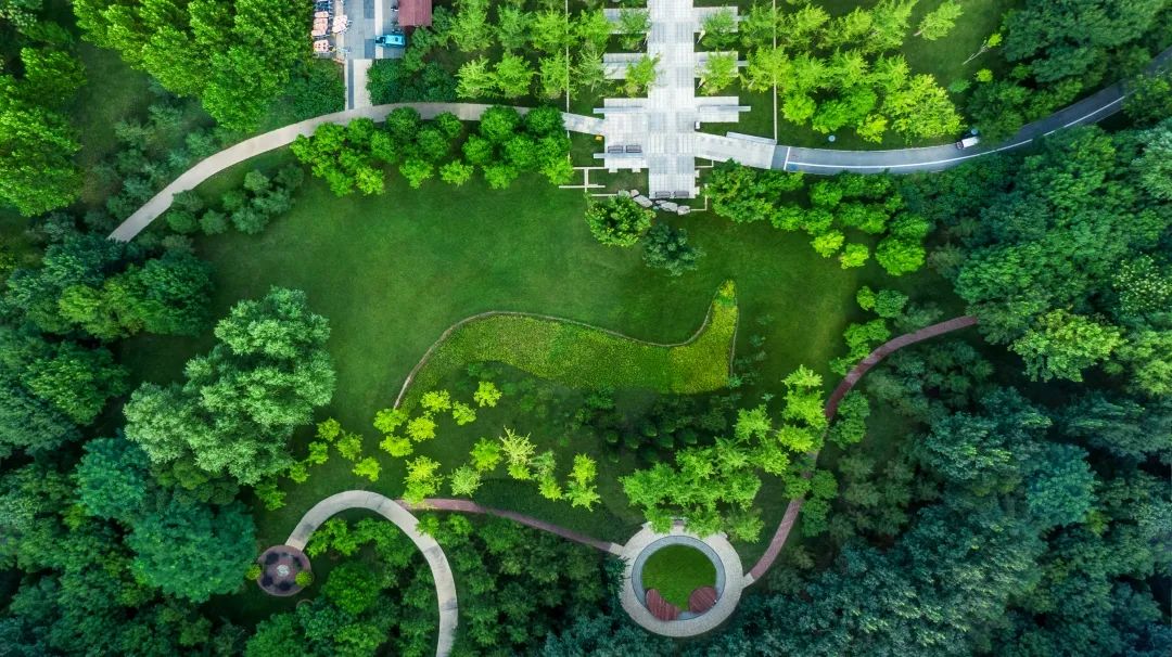 以初心鉴真心丨我家配套800亩森林运动公园，是怎样一种体验？
