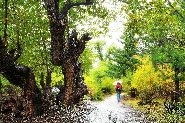 藏西小众秘境,藏西秘境自然风景