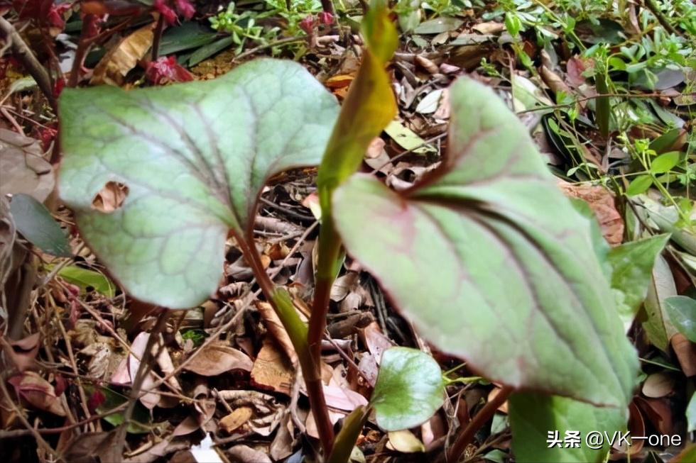 农村80后才看得懂的图和知道的经历