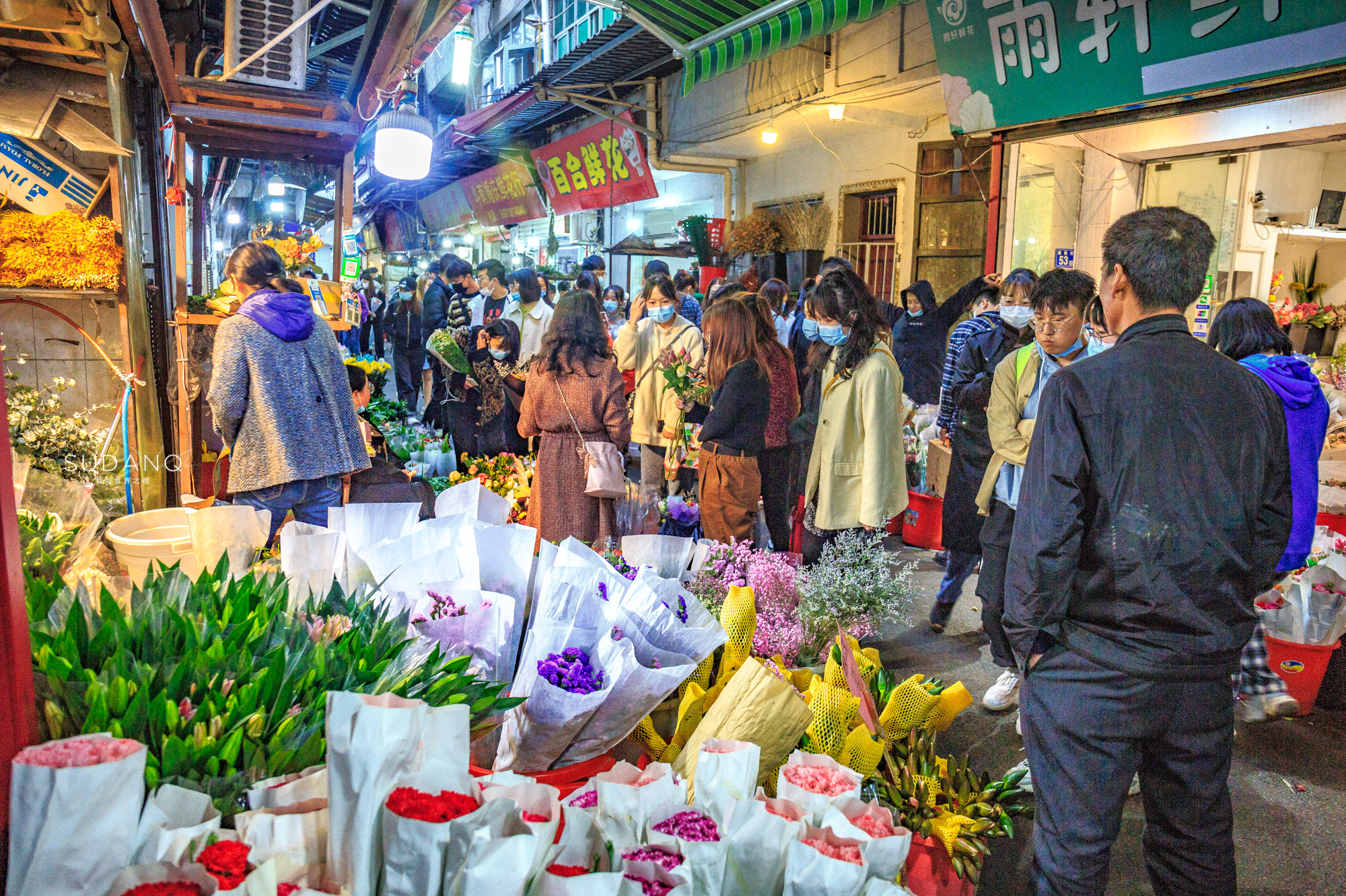 武汉铁机路花市,武汉解放公园花市