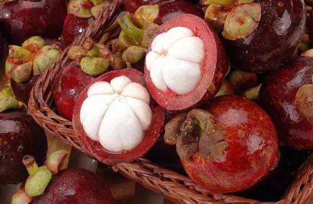 怎么避免挑到过熟的山竹,挑选山竹小技巧新鲜又饱满