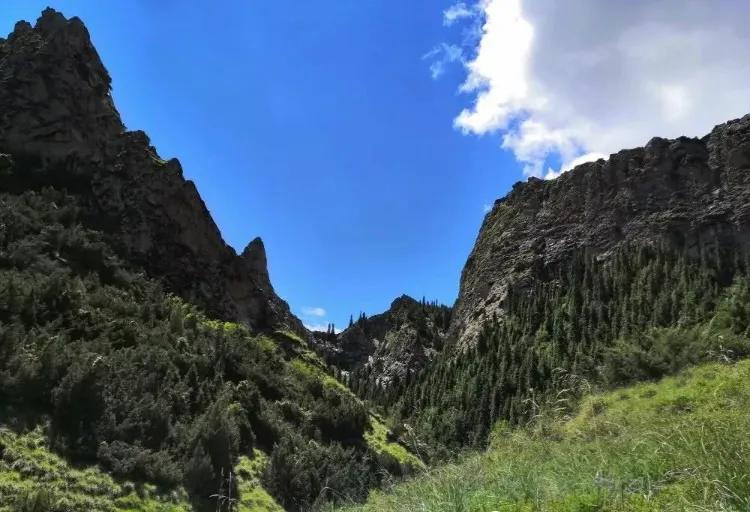 矿山风云评书大全,矿山风云录第一部