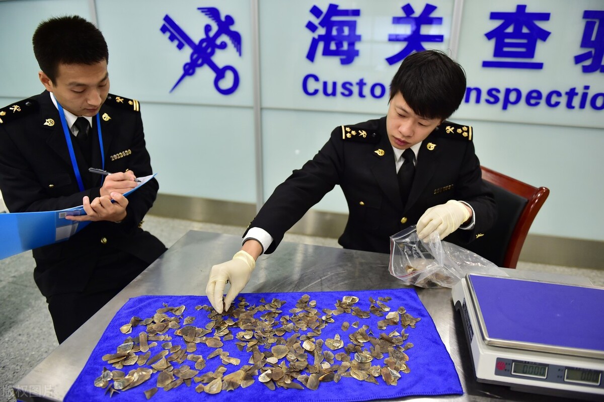 上海第二工业大学比较好的专业,上海市最好的二本学校及专业