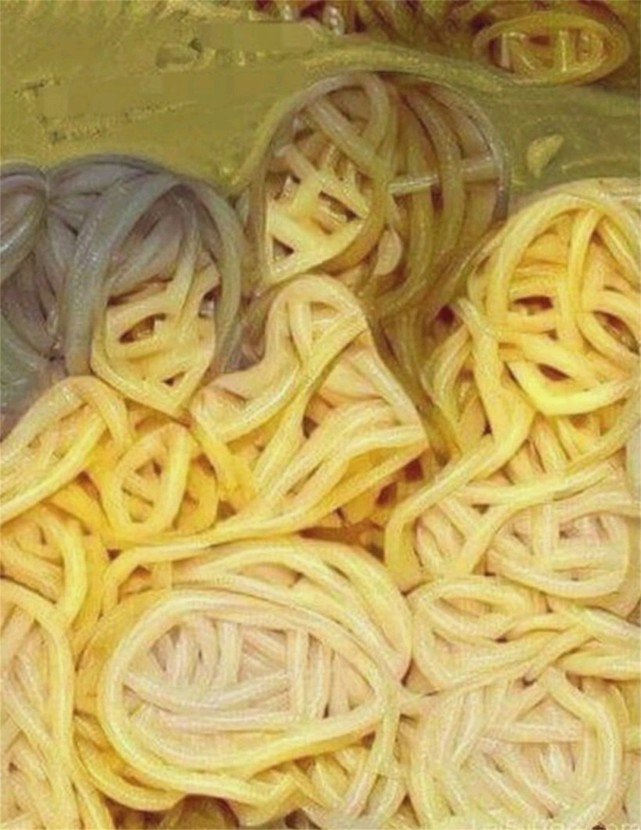 国漫为什么比日漫好看多了,日漫眼中的国漫