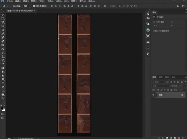 新手玩胶片机,怎么选择胶片机