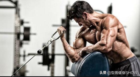 为什么健身要避开胰岛素高峰期,健身胰岛素与体脂率