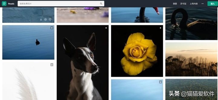 堪称ppt模板终结者,免费且好用的ppt模板