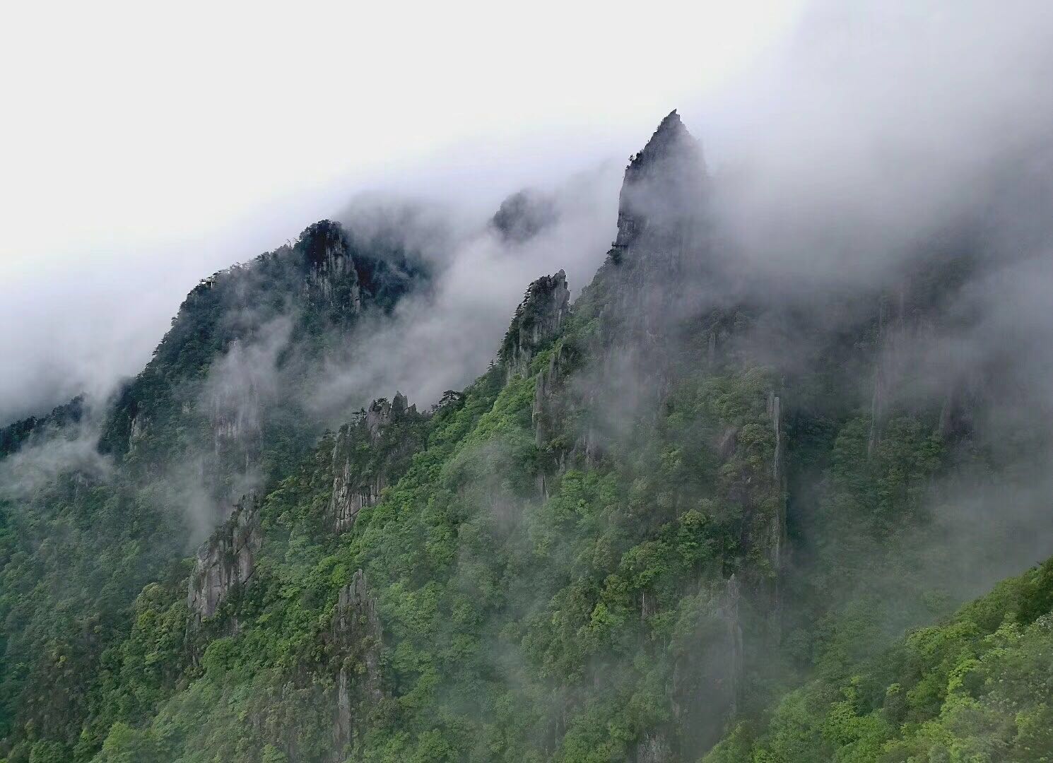 期货趋势交易技术分析,期货趋势交易讲解视频