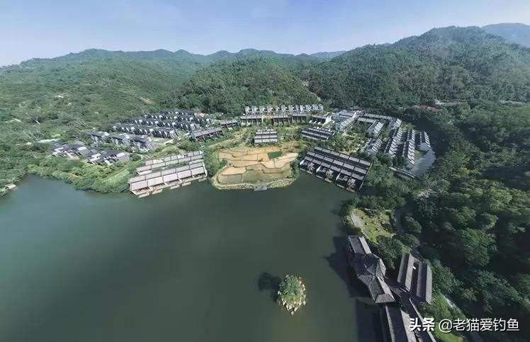 鲤鱼为什么在南方不受待见,东北的鲤鱼为啥跟南方的不一样