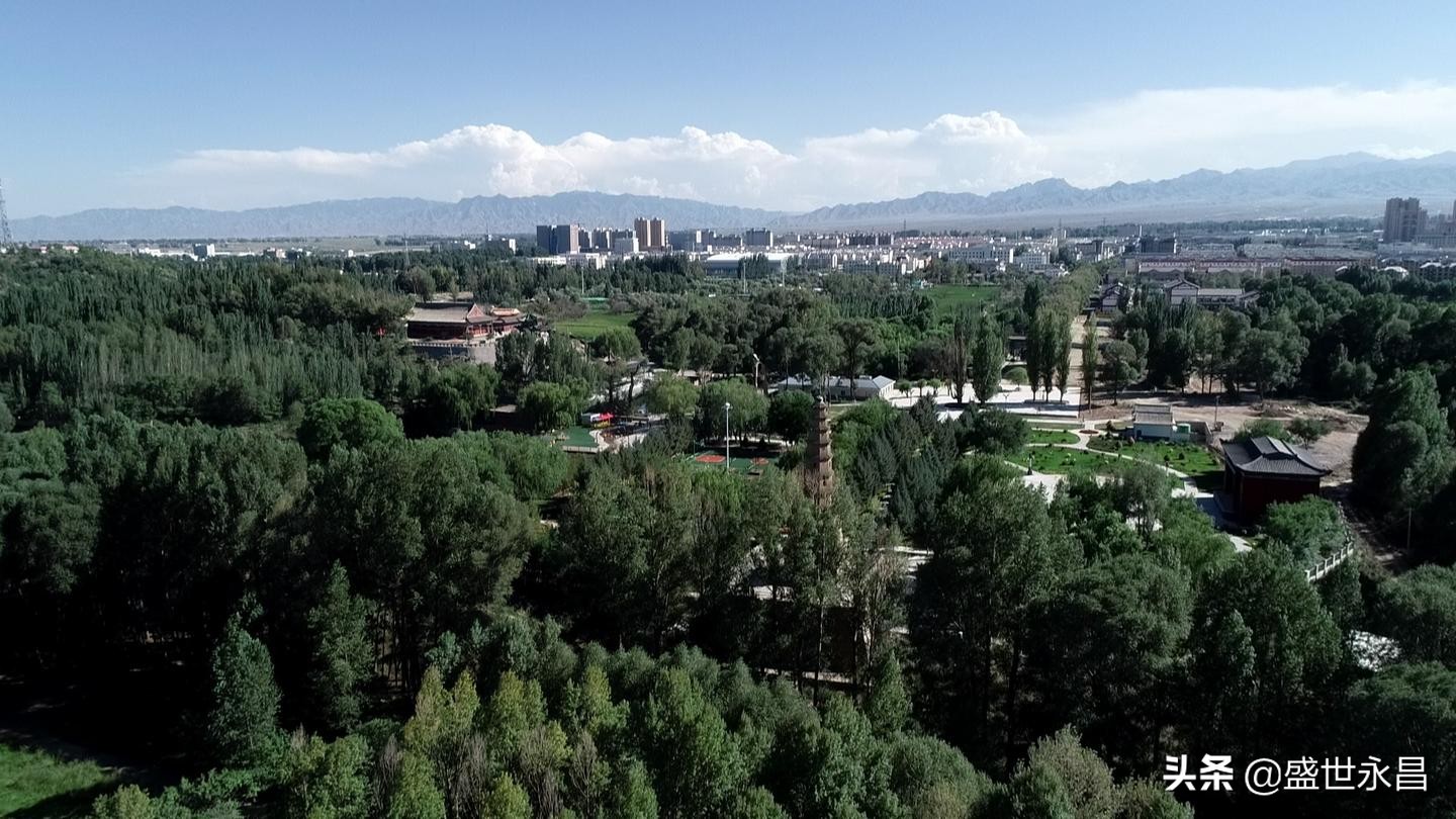 县生态环境保护工作报告,县生态环境保护重点