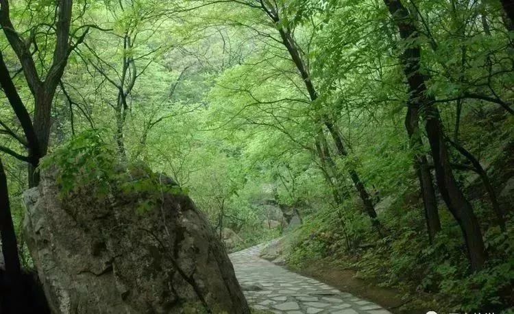 有了这些均温不足20℃的空调山，再热情的“烤验”也挡得住