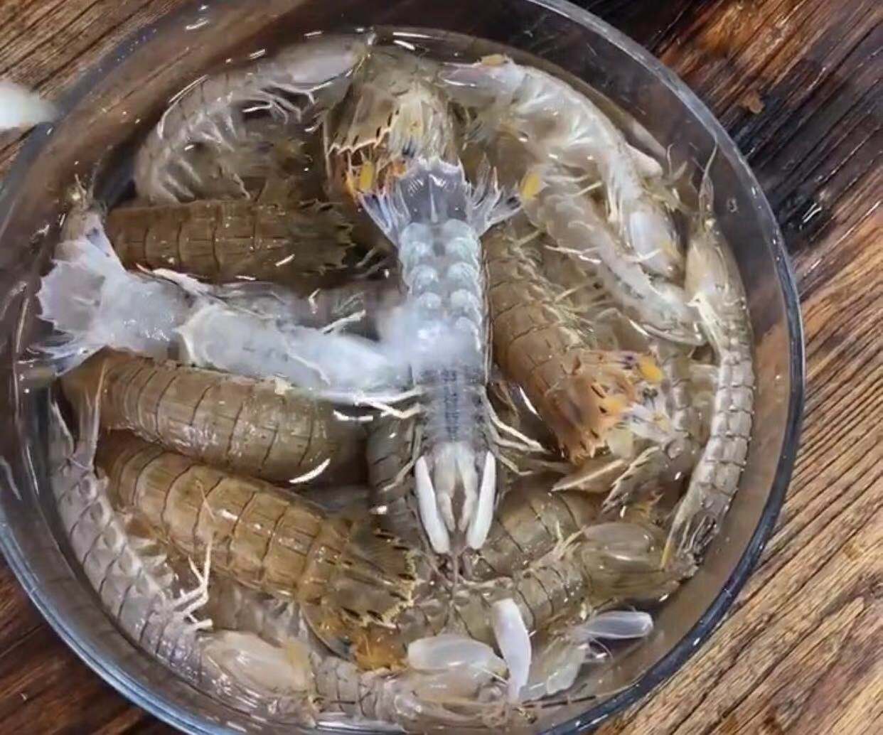 椒盐皮皮虾很入味直接上手扒开吃,椒盐皮皮虾的最全做法