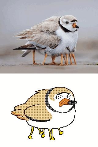 朋友圈九宫格喜感视频,开心到模糊的搞笑动图