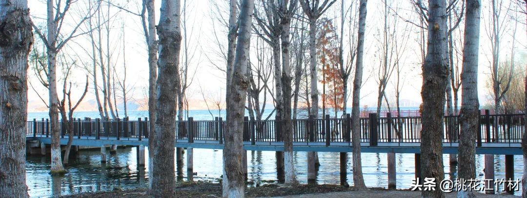 大理洱海龙龛码头4天3晚住宿,大理洱海龙龛码头是一个地方嘛